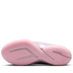 Nike LeBron 23 - Édition "Platinum" Collection