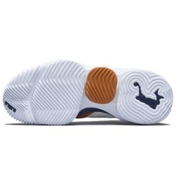 Nike LeBron 16 - Édition Limitée Prestige