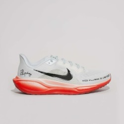 Nike Pegasus 41 - Design avec Contre-fort Rigide